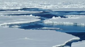 Eisschollen in der Arktis